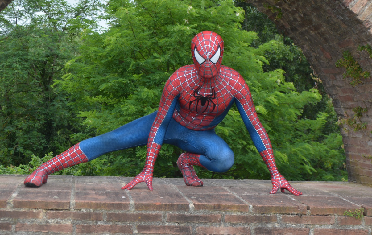 Organisation dune animation mascottes à Montauban pour une fête privée