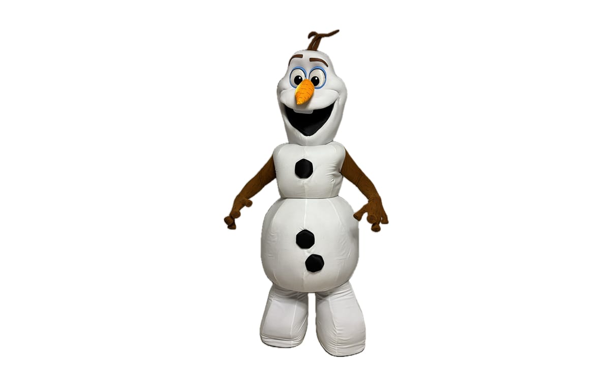 Organisation dune animation mascottes à domicile à Toulouse avec jeux et musique